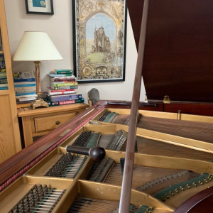 Piano Tuning, Repairs & Restoration