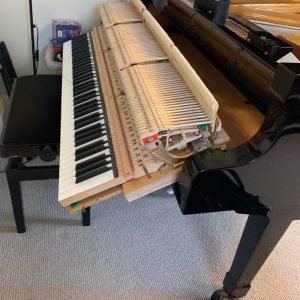 Piano Tuning, Repairs & Restoration
