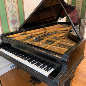 Piano Tuning, Repairs & Restoration