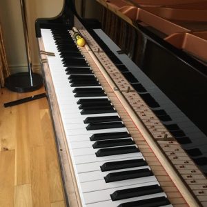Piano Tuning, Repairs & Restoration