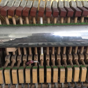 Piano Tuning, Repairs & Restoration