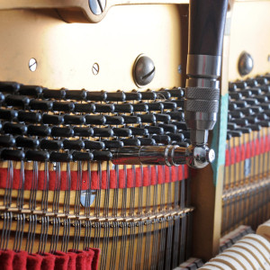 Piano Tuning, Repairs & Restoration